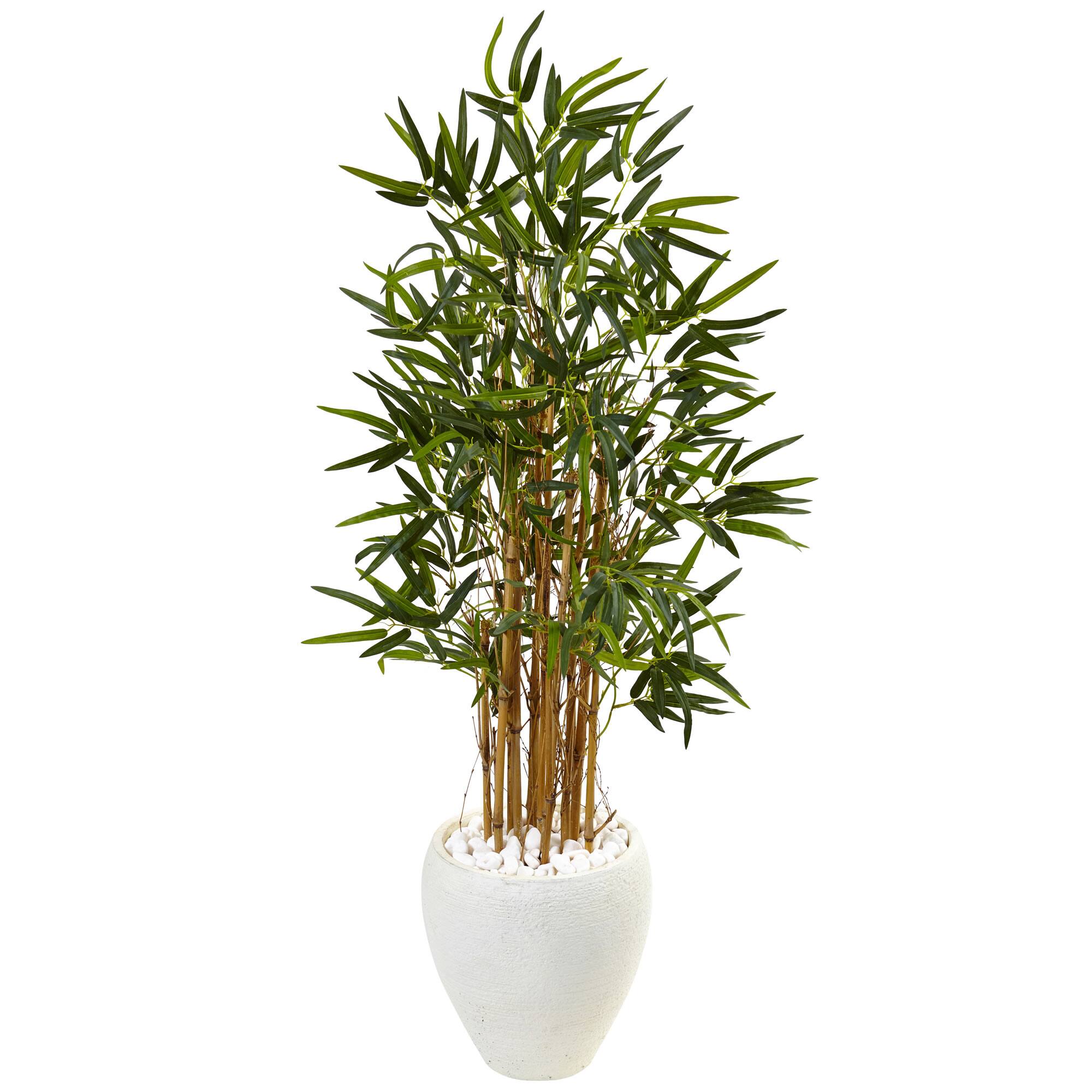 4ft. Bamboo Tree in White Oval Planter